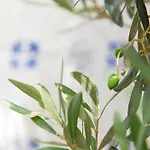 Apartman Inglesinhos - Castelo *