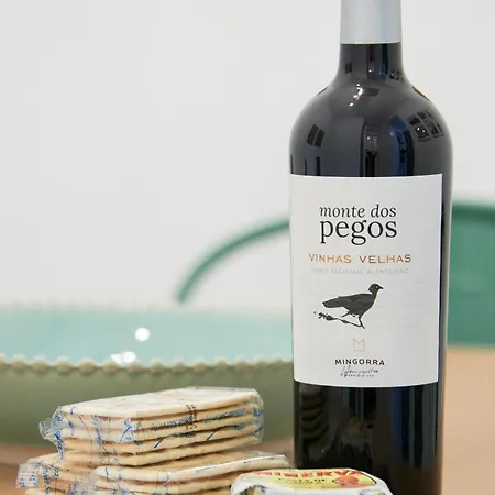 Inglesinhos - Castelo Apartmán