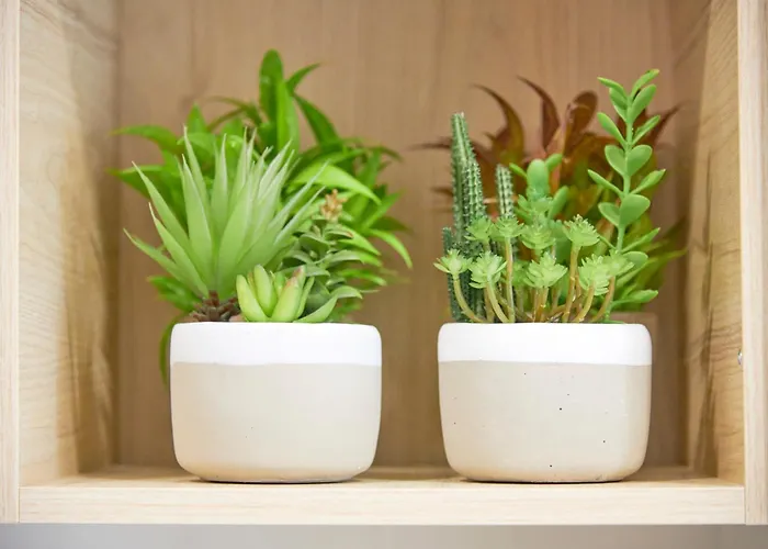 Διαμέρισμα Inglesinhos - Castelo