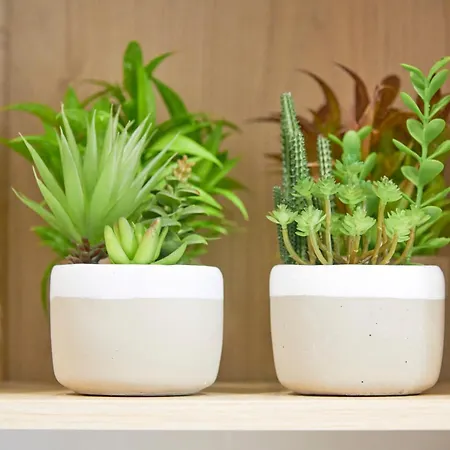 شقة Inglesinhos - Castelo