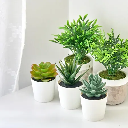 شقة Inglesinhos - Castelo *