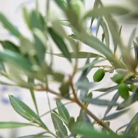 شقة Inglesinhos - Castelo Lisboa