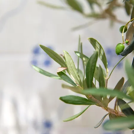 شقة Inglesinhos - Castelo *